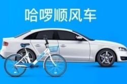哈羅發展順風車業務，需要解決先有雞還是先有